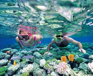 Choosing Snorkeling Tour