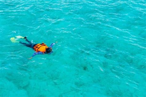 Choosing Snorkeling Tour Operator