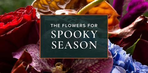 Choosing Spooky Blooms