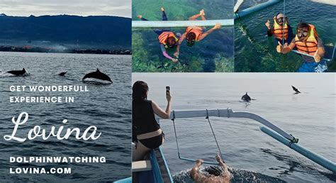 Choosing Tour Operator Dolphin Watching