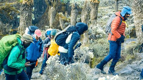 Choosing Trek Operator