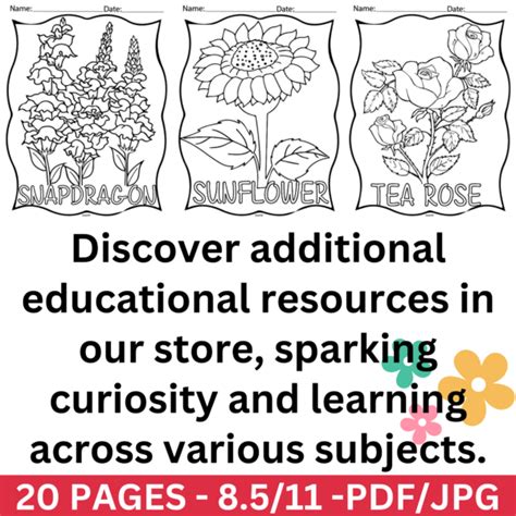 Choosing Your Adventure: Types of Coloring Pages Available