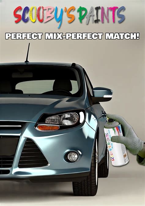Choosing Your Your Alfa Paint Product Line: A Guide to the Perfect Match