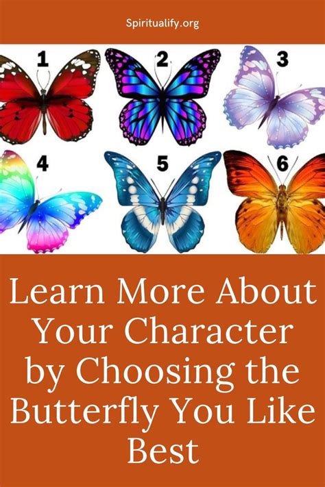 Choosing Your Butterfly and Reference Image