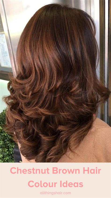 Choosing Your Perfect Chestnut Hue
