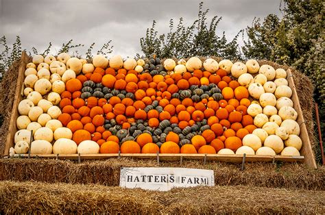 Choosing Your Perfect Pumpkin Design