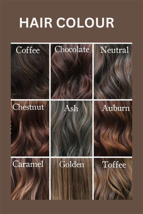 Choosing Your Perfect Shade: Decoding Chestnut Levels and Tones