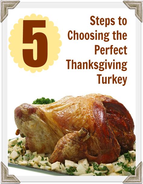 Choosing Your Perfect Turkey