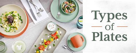 Choosing Your Plate Type Choosing Your Plate Type