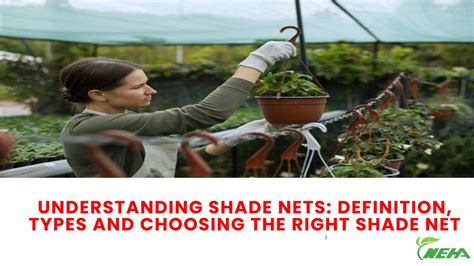 Choosing Your Shade: Understanding the Glow Spectrum