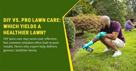 Choosing Your Treatment Methods (DIY vs. Professional)