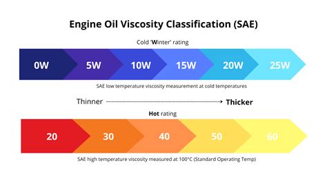 Choosing Your Variant: Oil Type Comparison
