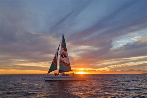 Choosing a Boat Tour