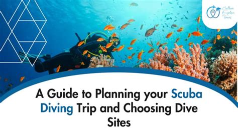 Choosing a Diving Tour Service