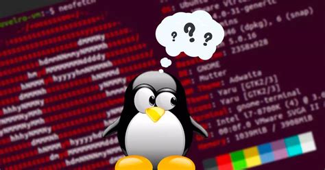 Choosing a Linux Distribution That Best Suits Your Needs