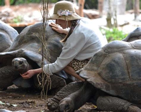 Choosing a Sea Turtle Tour