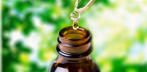 Choosing and Using Mother Tinctures