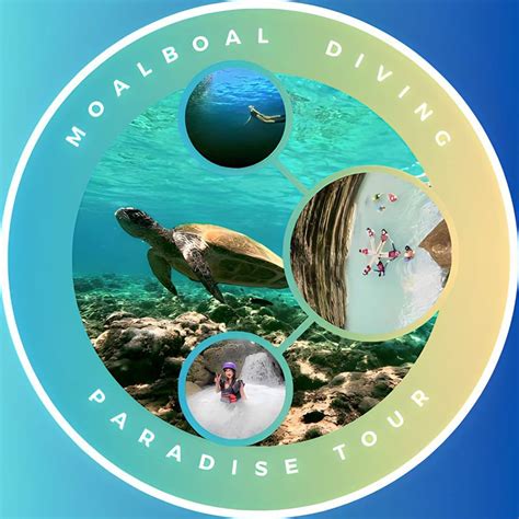 Choosing diving tour