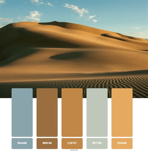 Choosing the Best Desert Color Schemes