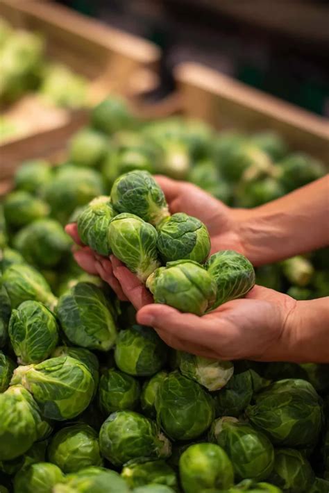Choosing the Perfect Brussels Sprouts