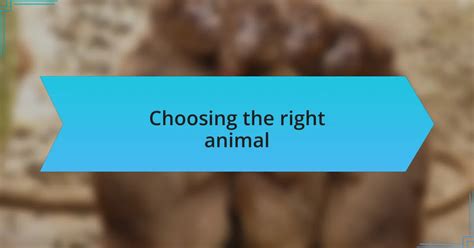 Choosing the Right Animal Theme