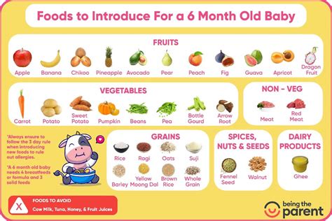 Choosing the Right Baby Food