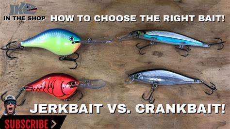 Choosing the Right Bait and Lure