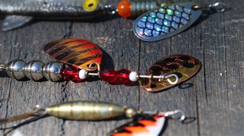 Choosing the Right Bait and Tackle for Seaforth Fishing