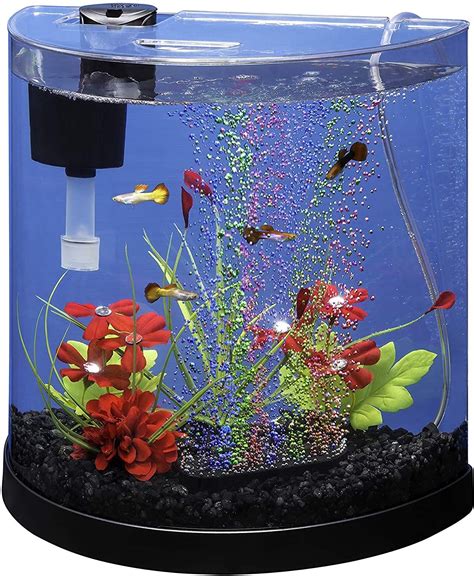 Choosing the Right Betta Fish Tank