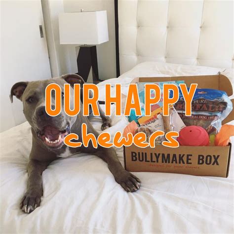 Choosing the Right Box for Chewers