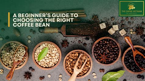 Choosing the Right Coffee