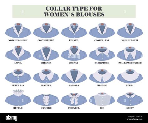 Choosing the Right Collar Type