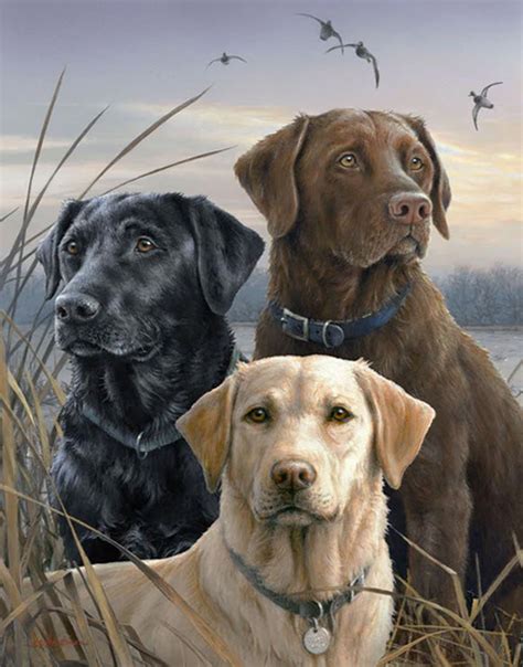 Choosing the Right Coloring Tools for Your Labrador Artwork