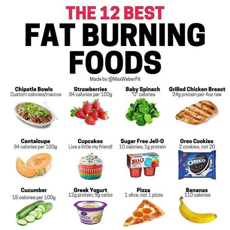 Choosing the Right Diet Plan: Are There Fat Burning Foods?