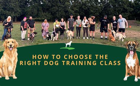 Choosing the Right Dog Training Method