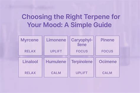 Choosing the Right Elixir for Your Mood