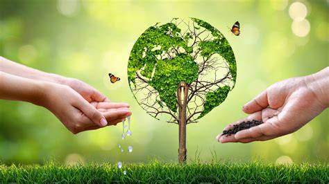 Choosing the Right Environment