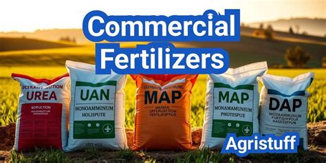 Choosing the Right Fertilizer and Timing