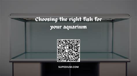 Choosing the Right Fish for Your Tank