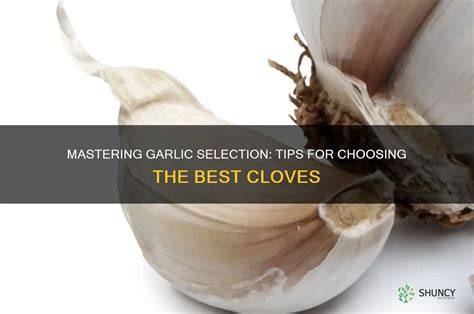 Garlic cloves