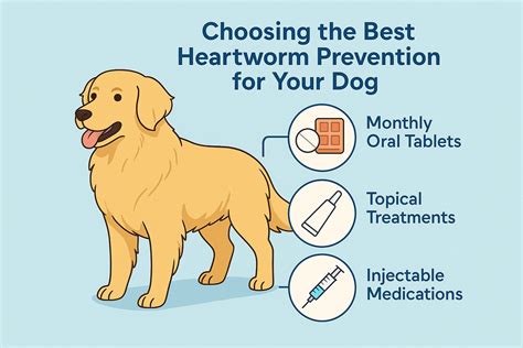 Choosing the Right Heartworm Prevention Method