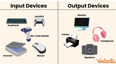 Choosing the Right Input Device