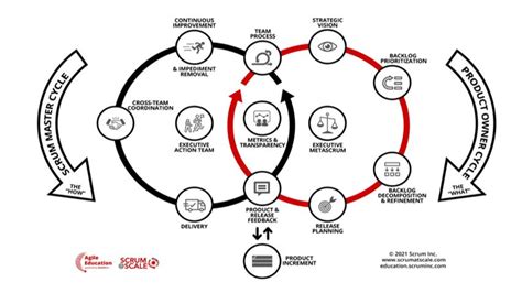 Choosing the Right Ordaining Organization