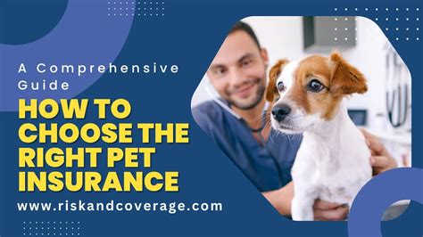 Choosing the Right Pet Insurance Policy