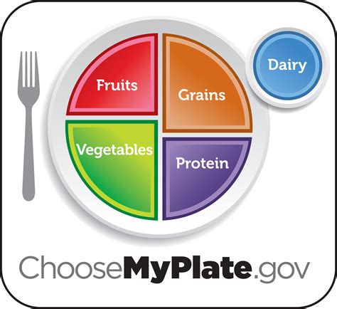 Choosing the Right Plates
