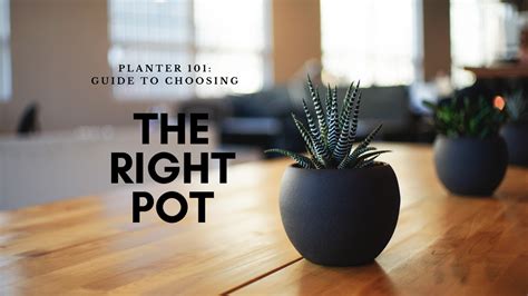 Choosing the Right Pot