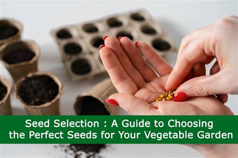 Choosing the Right Seeds