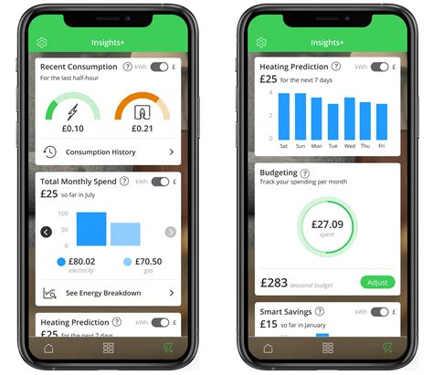 Choosing the Right Smart Meter App for You