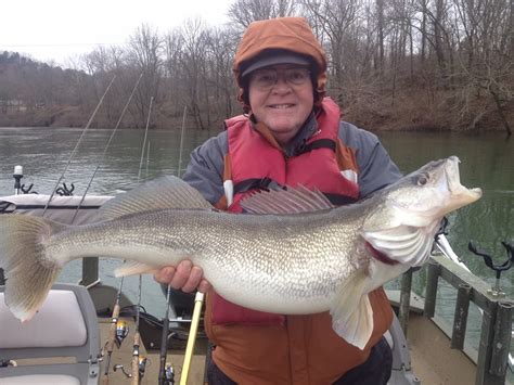 Choosing the Right Tackle for Lake Cumberland Fishing