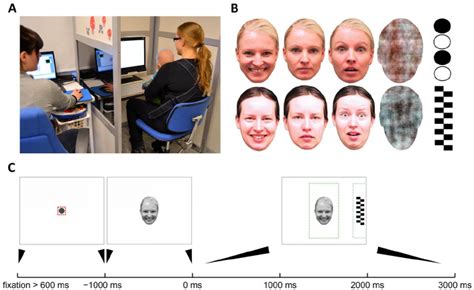 Choosing the Right Test Eye Tracking Setup